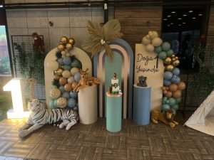 bursa doğum günü organizasyon