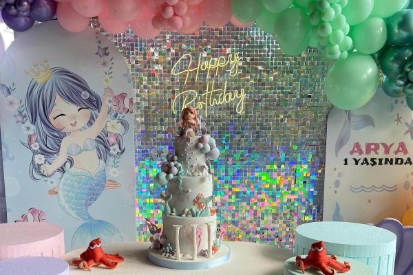 Bursa Zeynepce Organizasyon (27)